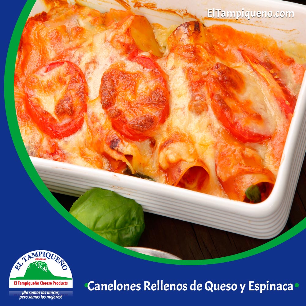 15 Canelones Rellenos de Queso y Espinaca con Salsa de Tomate