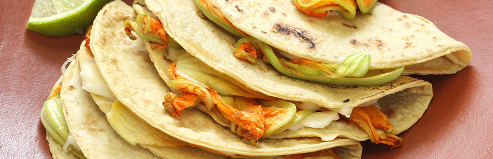 Quesadillas with Oaxacan Cheese and Squash Blossoms 07