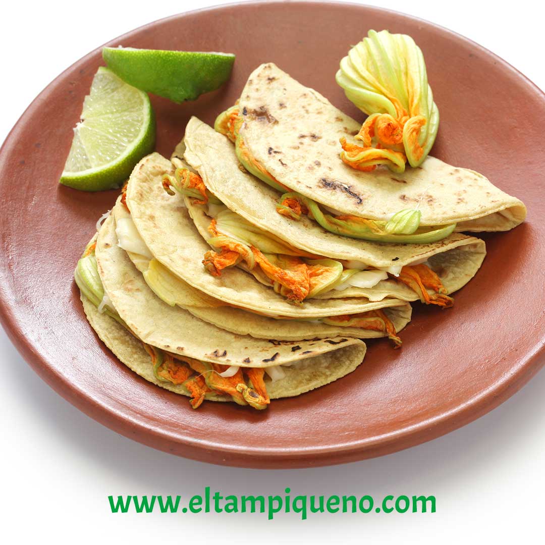 Quesadillas with Oaxacan Cheese and Squash Blossoms 07
