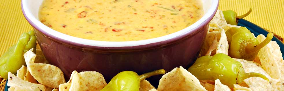 Spicy Queso Dip 22